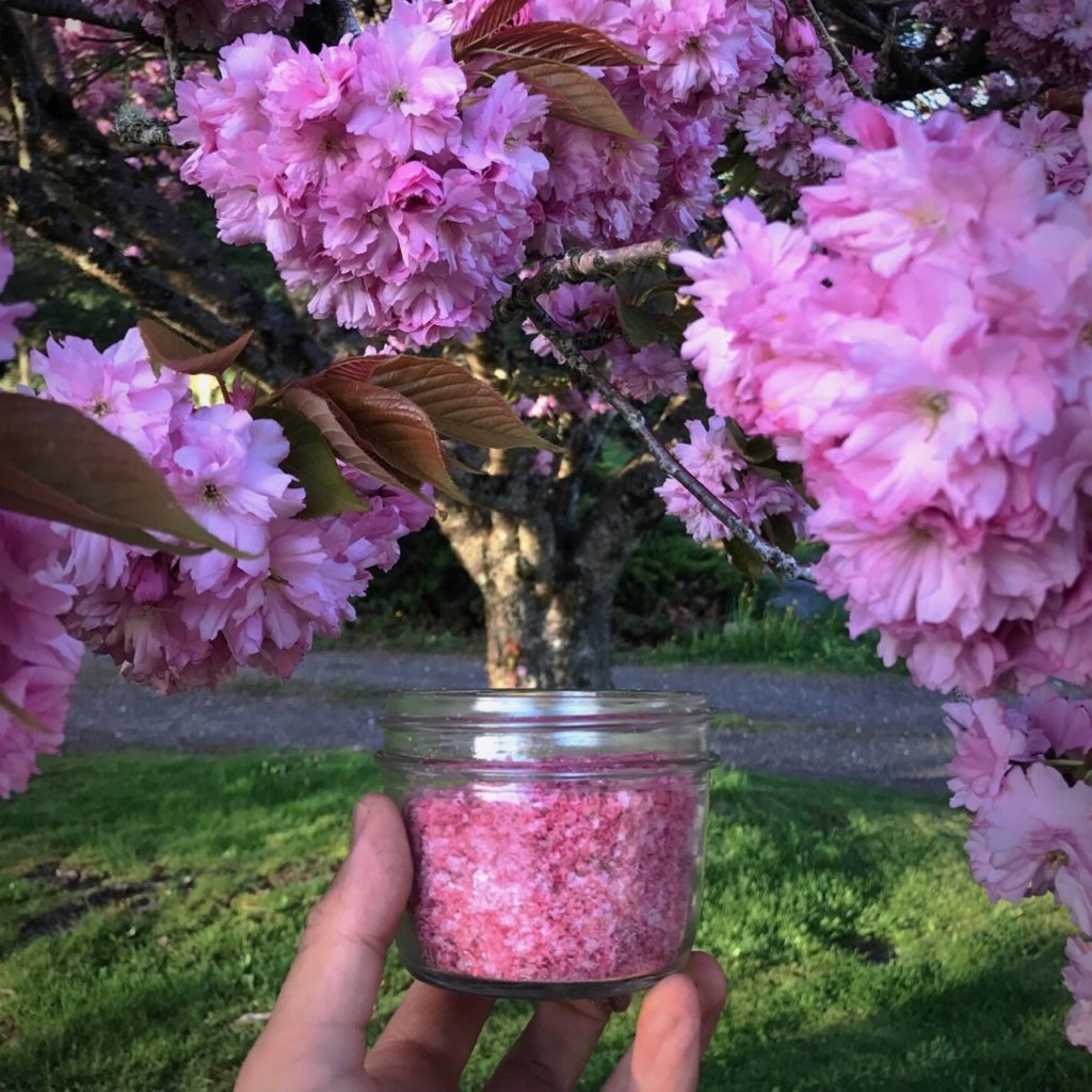 cherry blossom (sakura) salt